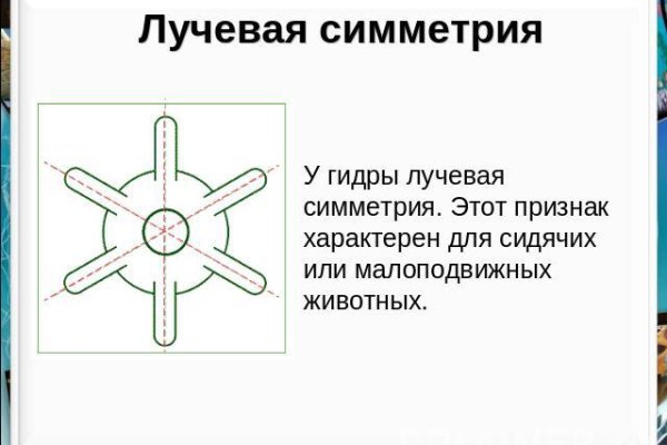 Кракен магазин ссылка