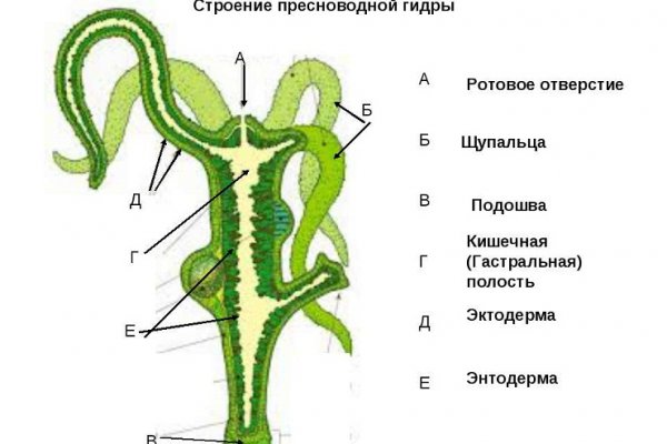 Kraken ссылка актуальная москва