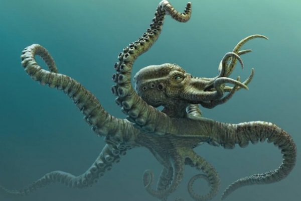 Кракен сайт ссылка kraken dark link