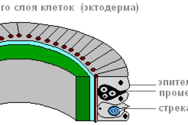 Как найти ссылку на кракен