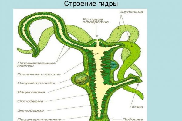 Как зарегистрироваться на сайте кракен