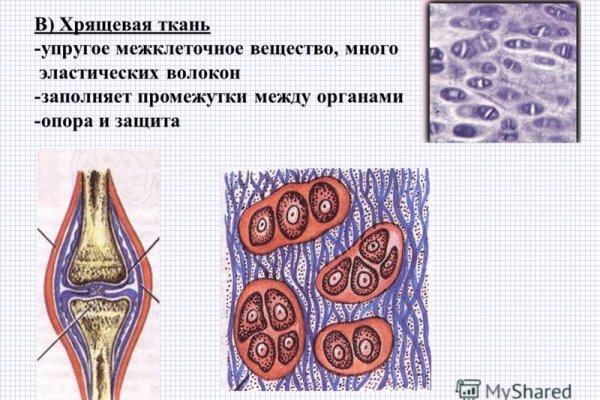 Ссылка на даркнет в тор