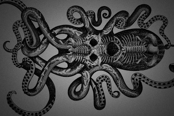 Kraken 12g