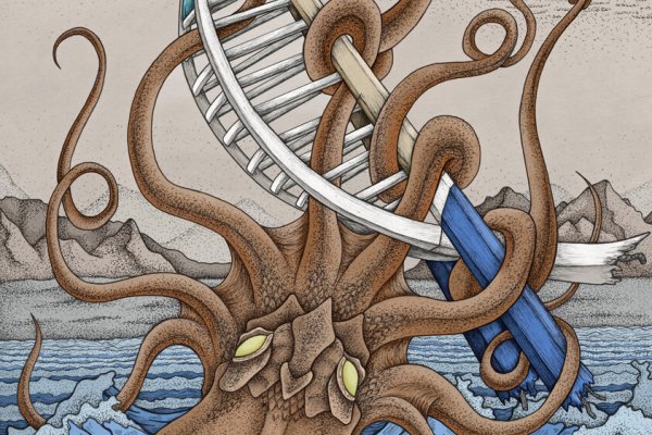 Kraken 20at